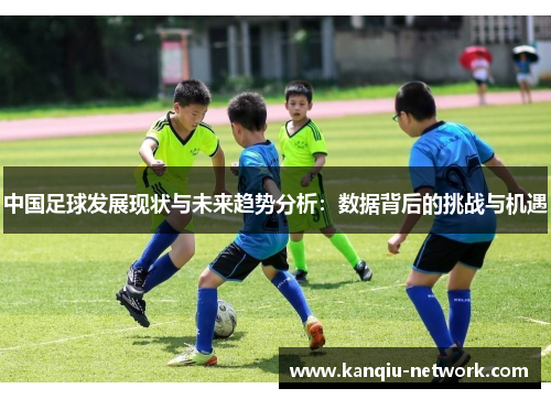 中国足球发展现状与未来趋势分析：数据背后的挑战与机遇